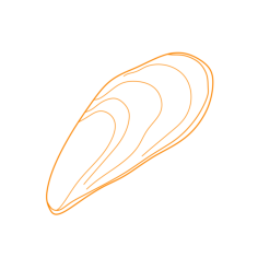 Animals Gastropods California Mussel Outline Icon Svg Set, Free Vectors File